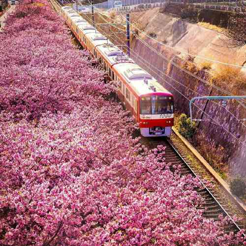 ایمان تام تام در آسمون دل من پرنده پر نمیزنه به کلبه ی غم زده